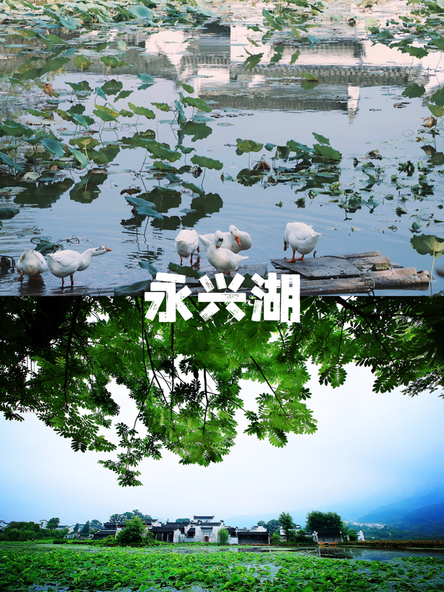 清凉一“夏”！来古徽州嬉水吧！