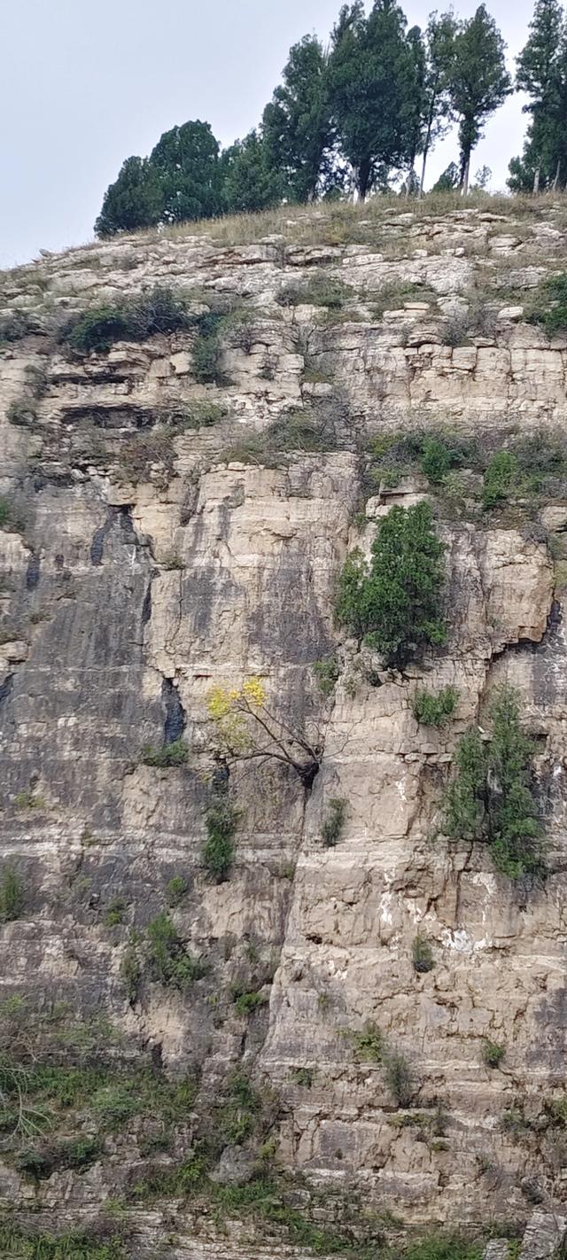 探访博山源泉郑家庄月亮门象鼻子山