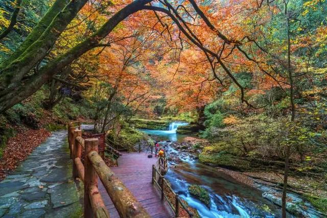 秋假不“宅家”！汉中这4条线路，承包你和孩子的秋日心动～