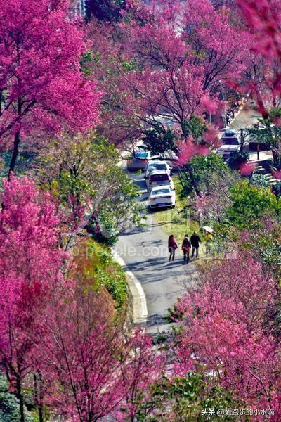 无量山：金庸笔下的秘境与现实中的桃源