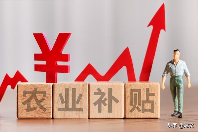 风向变了！中央放大招，农村这次要彻底翻身