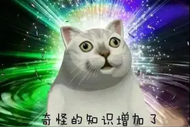 在河南，为啥有的地方管爹叫伯管叔叫爹？ | 豫记图片