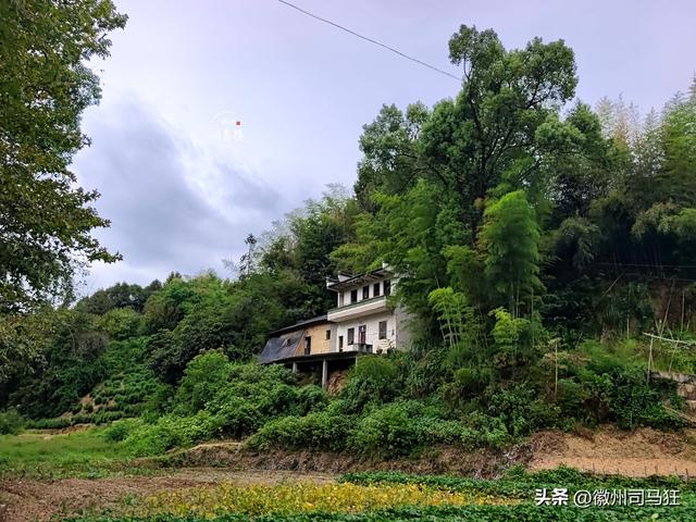 【行走徽州226】小梅口：新安江分流项目完成前，走走这个古村落