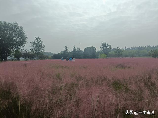 无为在歧路，国庆游淄博4