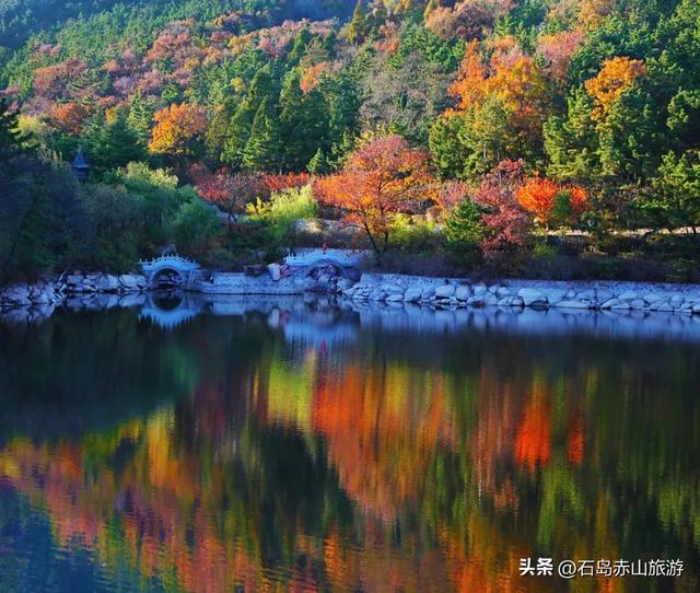 赤山红叶节不止红！各色植物把山海染成「秋日调色盘」