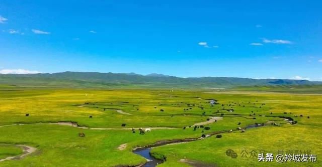 让心灵在圣境中深度旅行——甘南文旅融合发展综述
