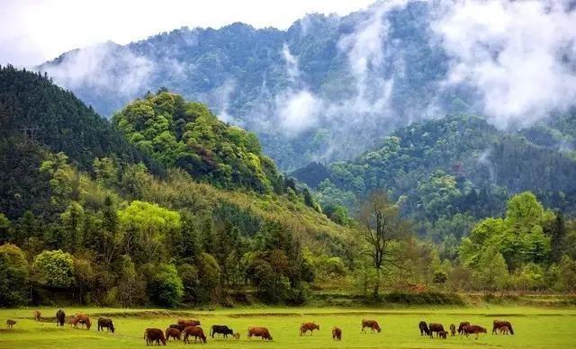 两性关系，女生发“嗯嗯”是什么意思，男人一定要懂