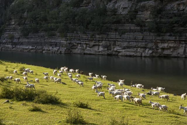 郑州洛阳都想不到，河南最“懒”的小城竟是周末天花板！