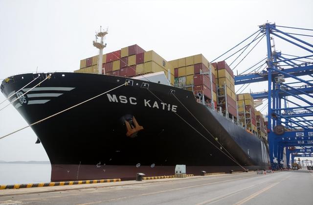 学者：马克龙有两件事有求于中国