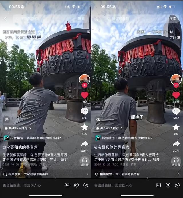 百万粉丝达人宝哥携导盲犬游览鼎湖山，直呼：空气好清新！