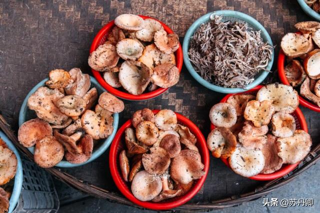 为了一只猴子！我从武汉跑去了贵阳！黔灵山的魅力不止是有猴子