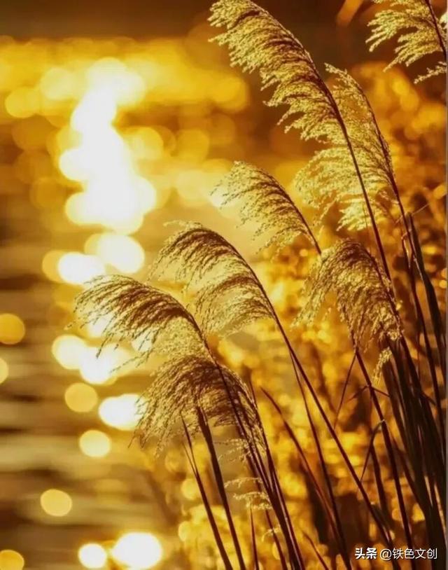 重阳踏秋：浮山秋韵里我们把岁月唱成歌