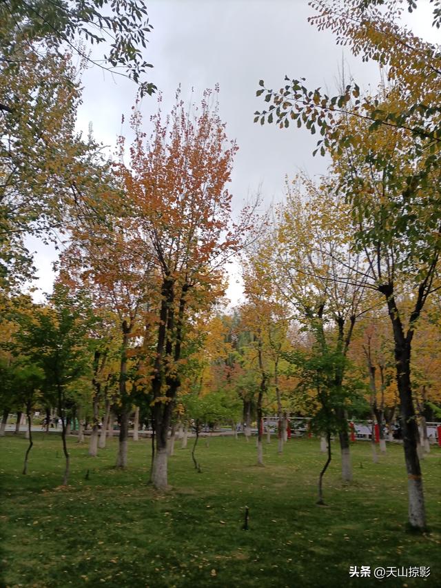 踏秋