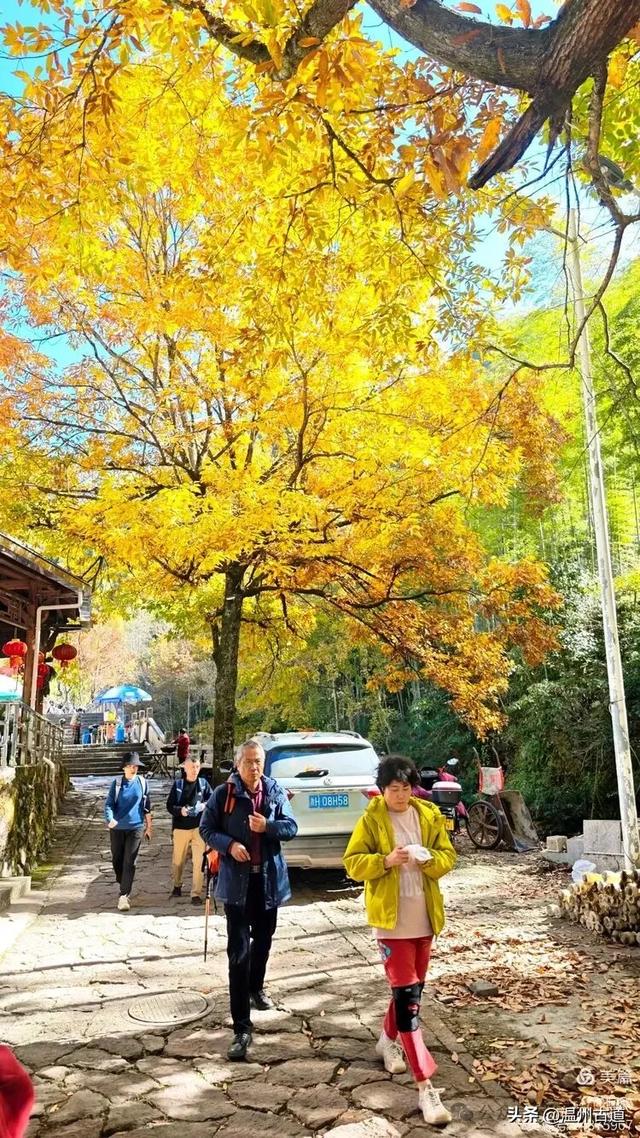 踏秋胜地，天脊龙门！浙江这个4A级景区已美成童话，等你来打卡