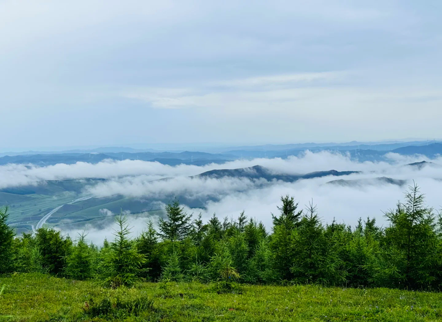 北京家门口的草原：张北周末自驾全攻略，赴一场风车与历史的约会