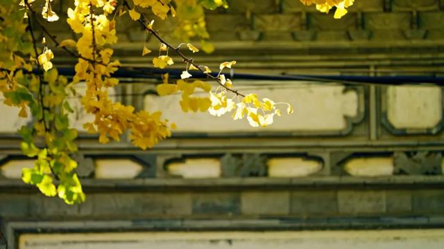 天气很冷,大理很“热”