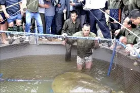 全球只剩2只了！还全都是公的，“中国神兽”怎样才能有效繁殖？图片