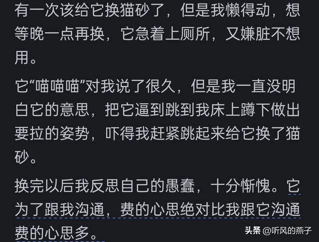 你是否有过把宠物逼的差点说话的时候？网友们的分享，惊呆了