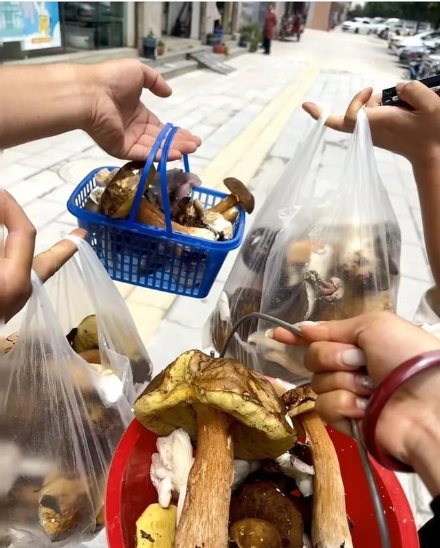 我是湖北人，去了趟曲靖，有三个疑问想不通，忍不住问下