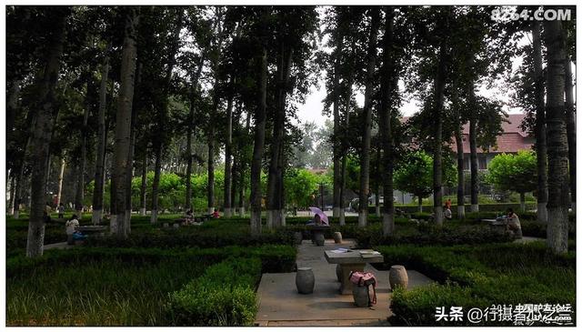 山东行游影记（16）—济南山东大学（三）