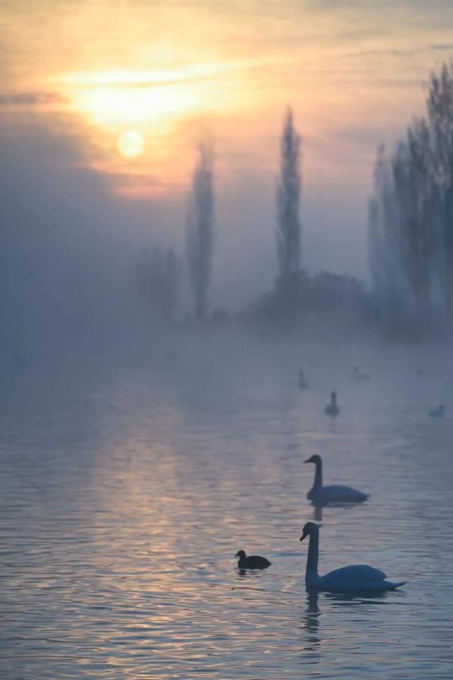 如要选一个冬季最佳拍雪景的地方,首选一定是它