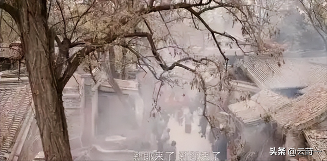 央视《灼灼韶华》被观众强烈要求下架，理由很一致:挂羊头卖狗肉