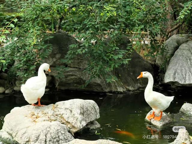来临沂吧！看汉墓、读兵书、感风骨、探东夷，解码琅琊名仕的精神