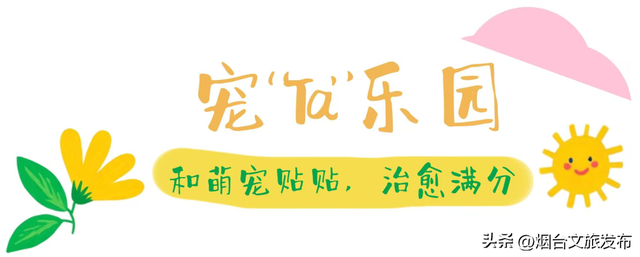 【乐游烟台】“十一”必去！烟台这座新地标即将开园