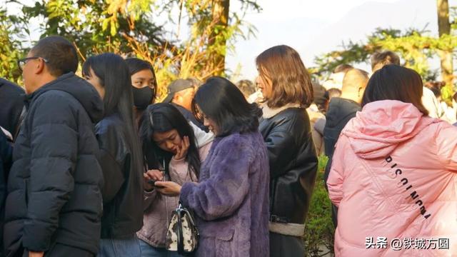 国网邵武市供电公司：登高望远迎新岁 健步启程绘新章