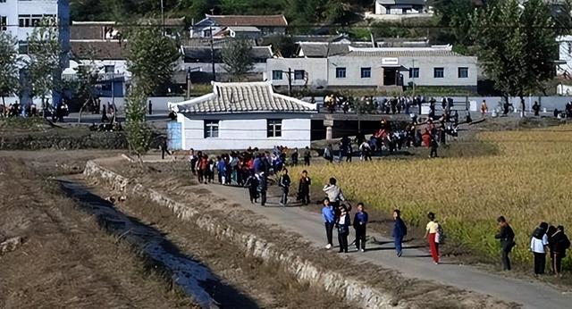 为何中国宁向越南输电，也不输给朝鲜？他们不仅不要，还向我们卖