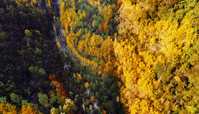 汉台的秋，真美....