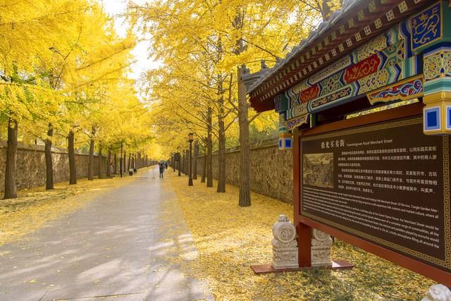 你的“福气账户”余额不足？三招教你快速充值