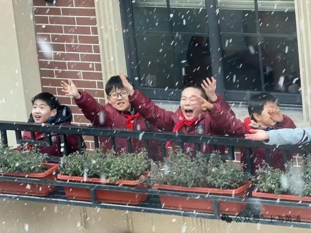 上海全城追雪！朋友圈和校园里彻底沸腾！零下6℃要来了，赏雪打卡还有机会