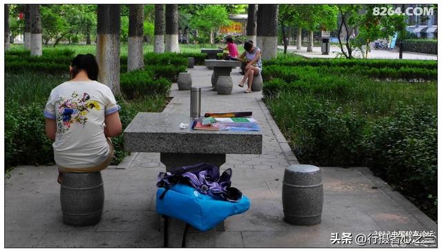 山东行游影记（16）—济南山东大学（三）