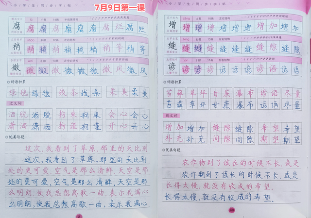 五升六暑假总结