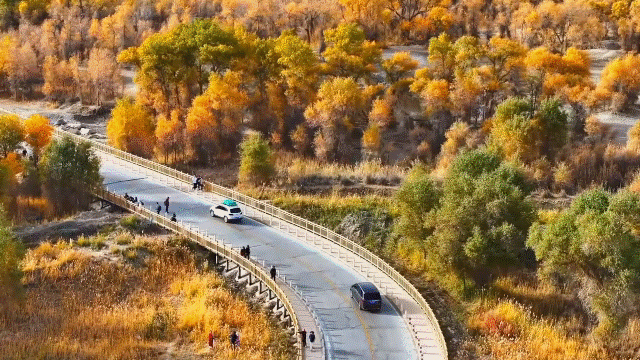 轮台胡杨7 个冷门角落