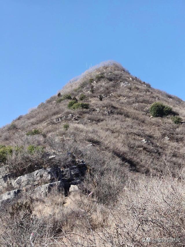 雪后初霁登顶嵯峨山，走荒野雪原，看千年悟空塔，感受历史的烟云