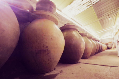 沉浸式游沙滩，GO！GO！GO！