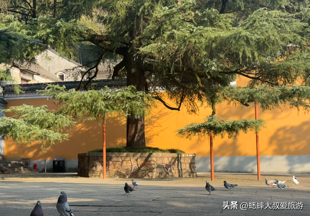 与灵隐寺“同龄”的千年古刹，秋冬不但色彩斑斓，更具古雅与佛韵