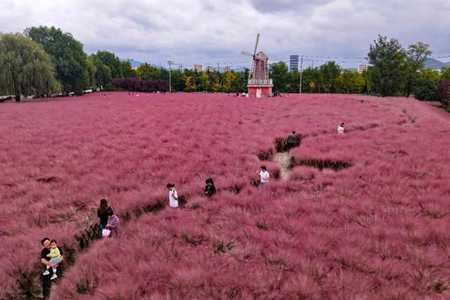 年终盘点丨60余次登上旅游热榜,威海凭啥?