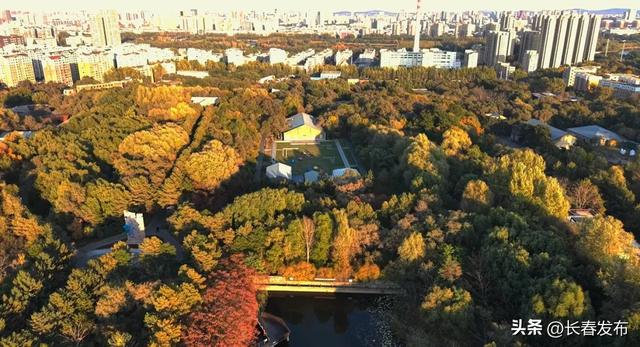 秋韵浸水园 微光与落叶的密语