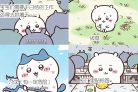 这只爱说“兄弟你好香”的蓝猫，治愈了多少年轻人？图片