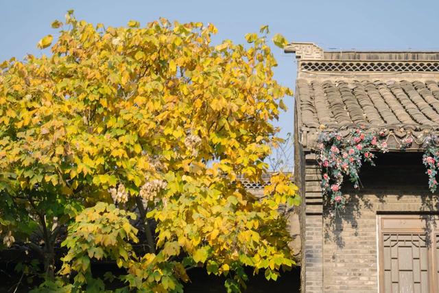 串场河畔，藏着 “橙黄橘绿” 的浪漫暴击~