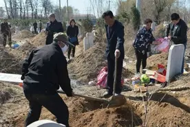 迁坟的时候挖出来三个金蟾蜍，这是有什么寓意？图片