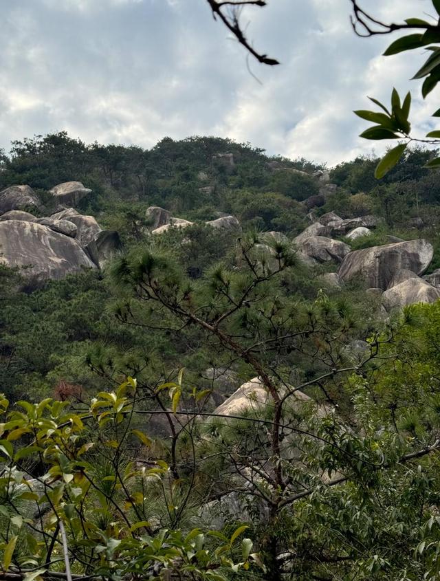 厦门东坪山景幽谷，东坪山一处充满野趣的探险秘境，岛内五谷之一