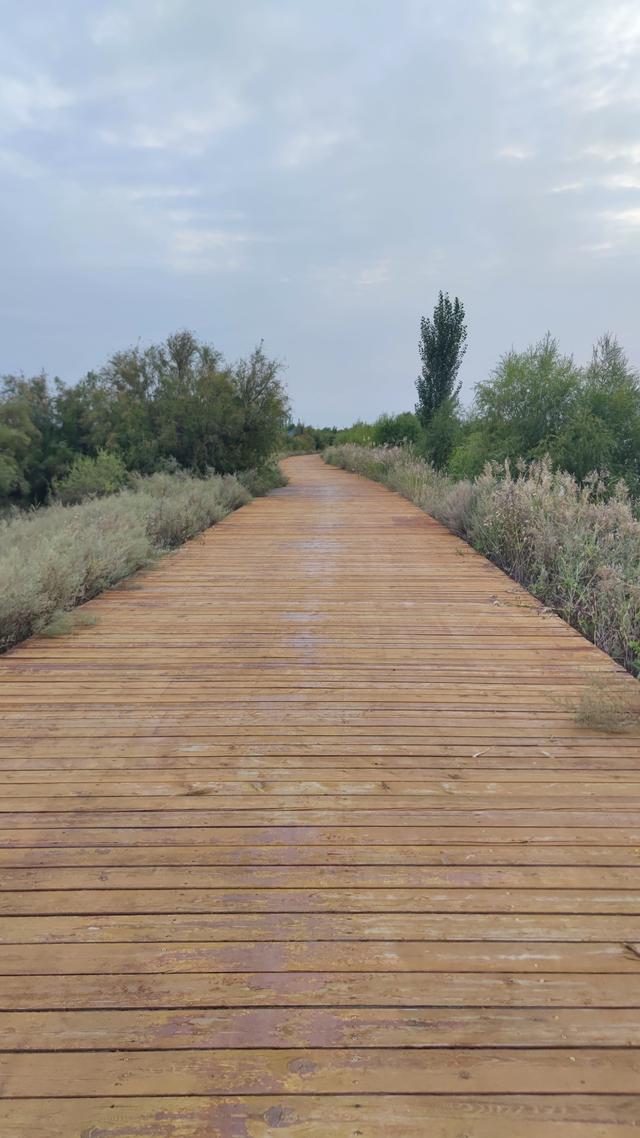 包头城南靠近黄河的昭君湖，也叫小白河景区，黄河浩渺，湖平如镜