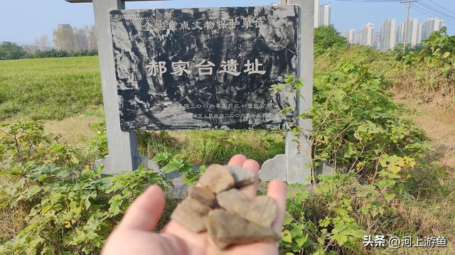 漯河历史文化遗迹之郝家台遗址