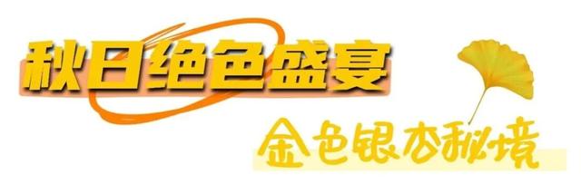 烟台秋日绝色盛宴筹备中，走！寻秋去！