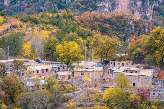 全程没门票，300多个弯道，满山红叶，你会去这河南绝美秋色路吗