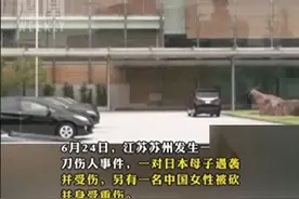 闹大了，日本母子在苏州被砍伤，当地日本学校停课，胡锡进发声图片